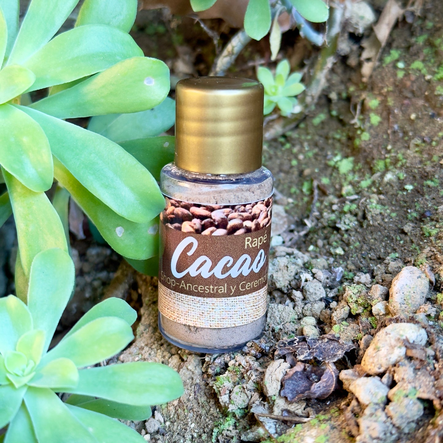 Cacao | Traditional forest botanical blend packaging